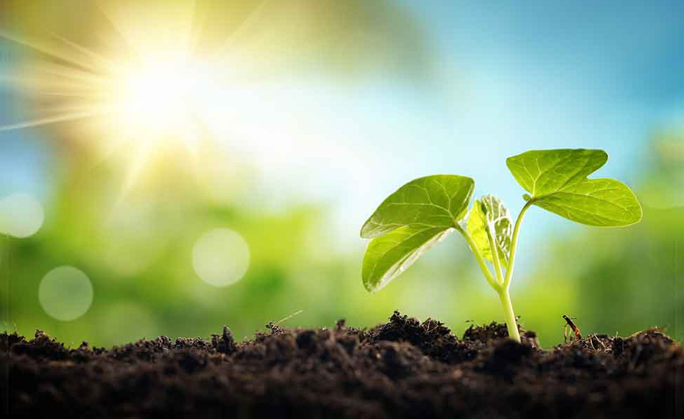 あなたの人生「健康」と「お金」どっちが大事